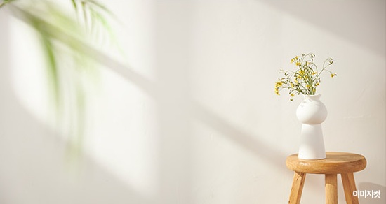 햇살이 드는 벽 앞 꽃병 이미지컷